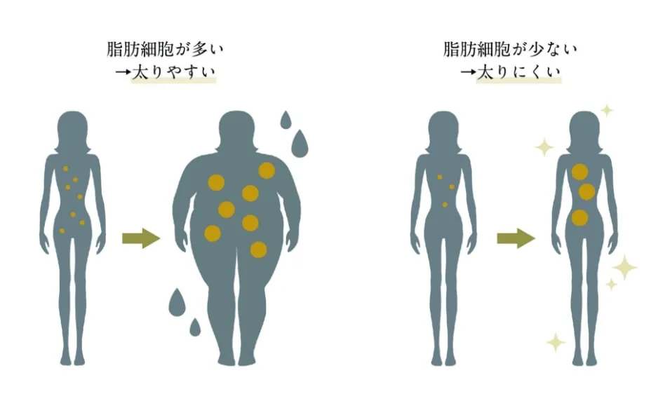 DIOクリニックが選ばれる理由を表す公式イメージ